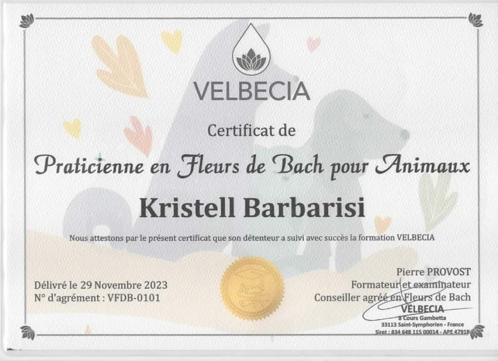 praticienne en fleurs de bach six-fours, la seyne sur mer, toulon, à distance