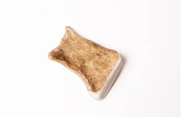 Bois de Daim pour chien – Image 3
